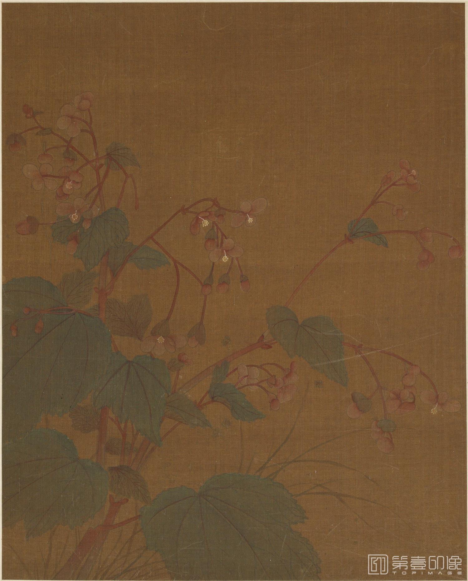 国画-花鸟图册绢本-007-45.6×36.7