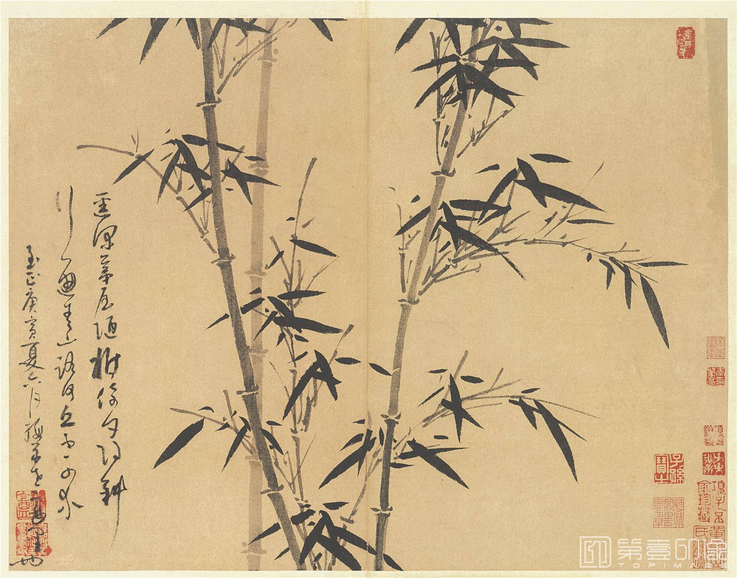 国画-墨竹谱册页27帧纸本-墨竹谱-台北-003-40.3x52