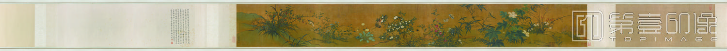 国画-花竹翎毛图卷绢本-33.8x272.6