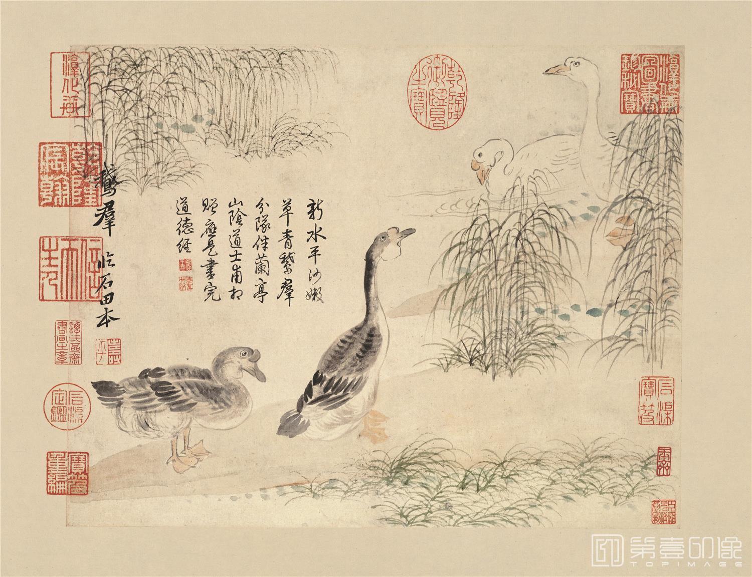 国画-拟没骨画法-纸本-004-35x27cm