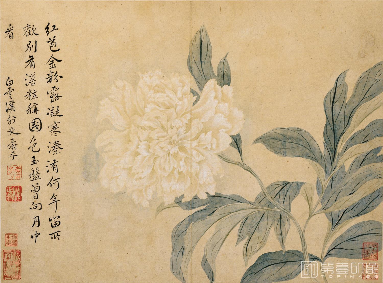 国画-春花图册-花鸟-006-26.3x35.7
