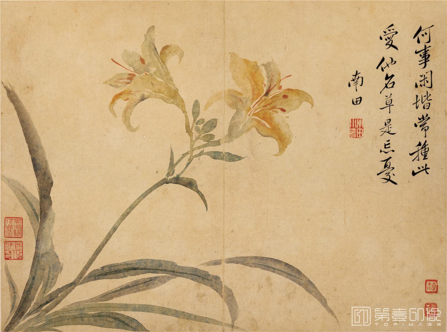 国画-春花图册-花鸟-008-26.3x35.7