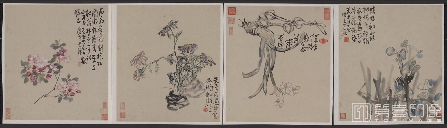 国画-花卉册-002-33x37cm