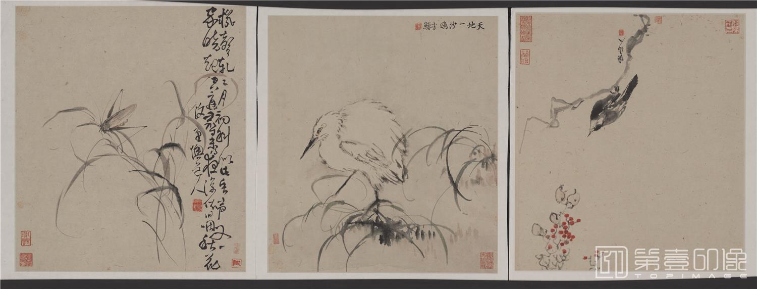 国画-花卉册-003-33x37cm