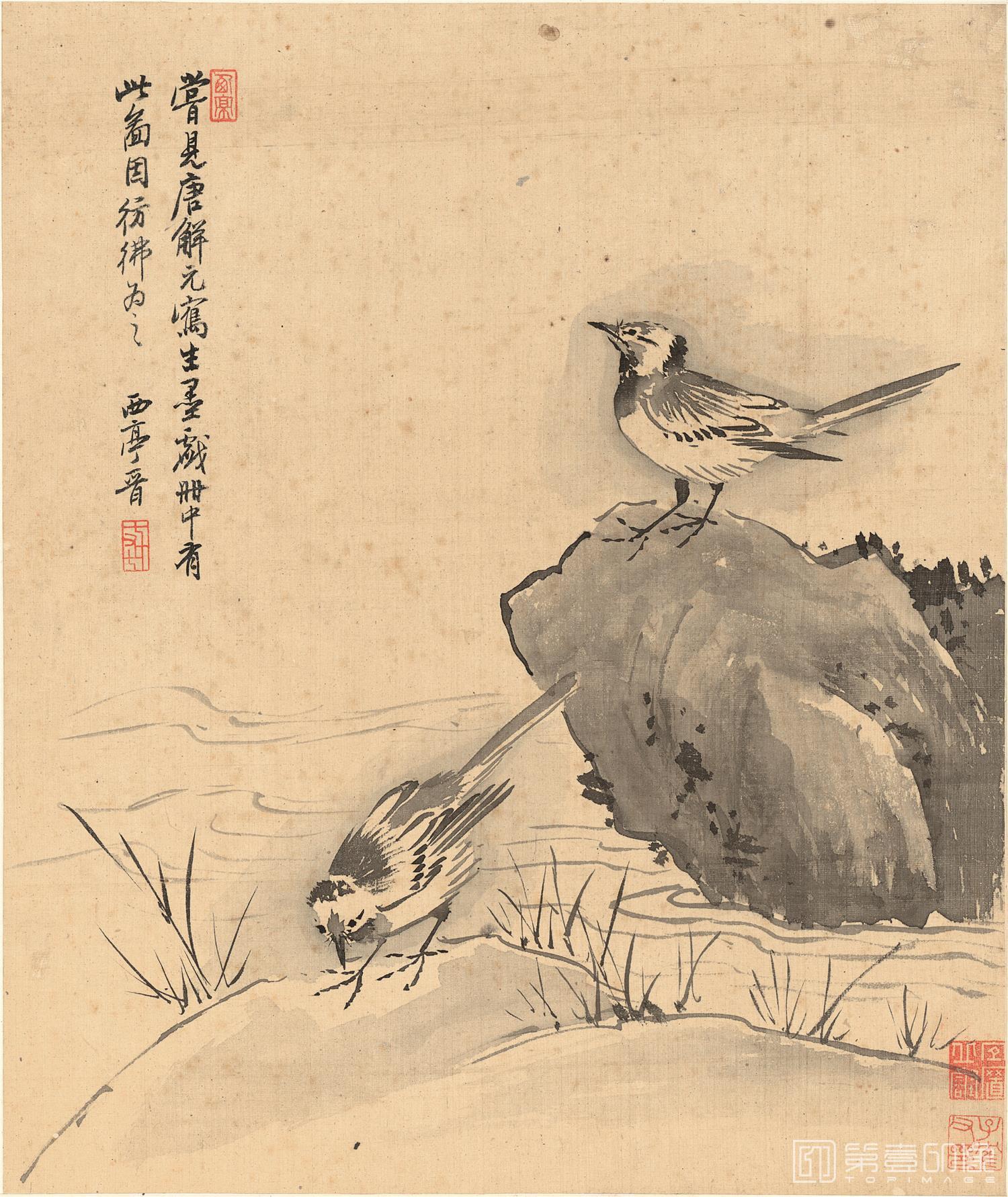 国画-花鸟十二开-册页-003