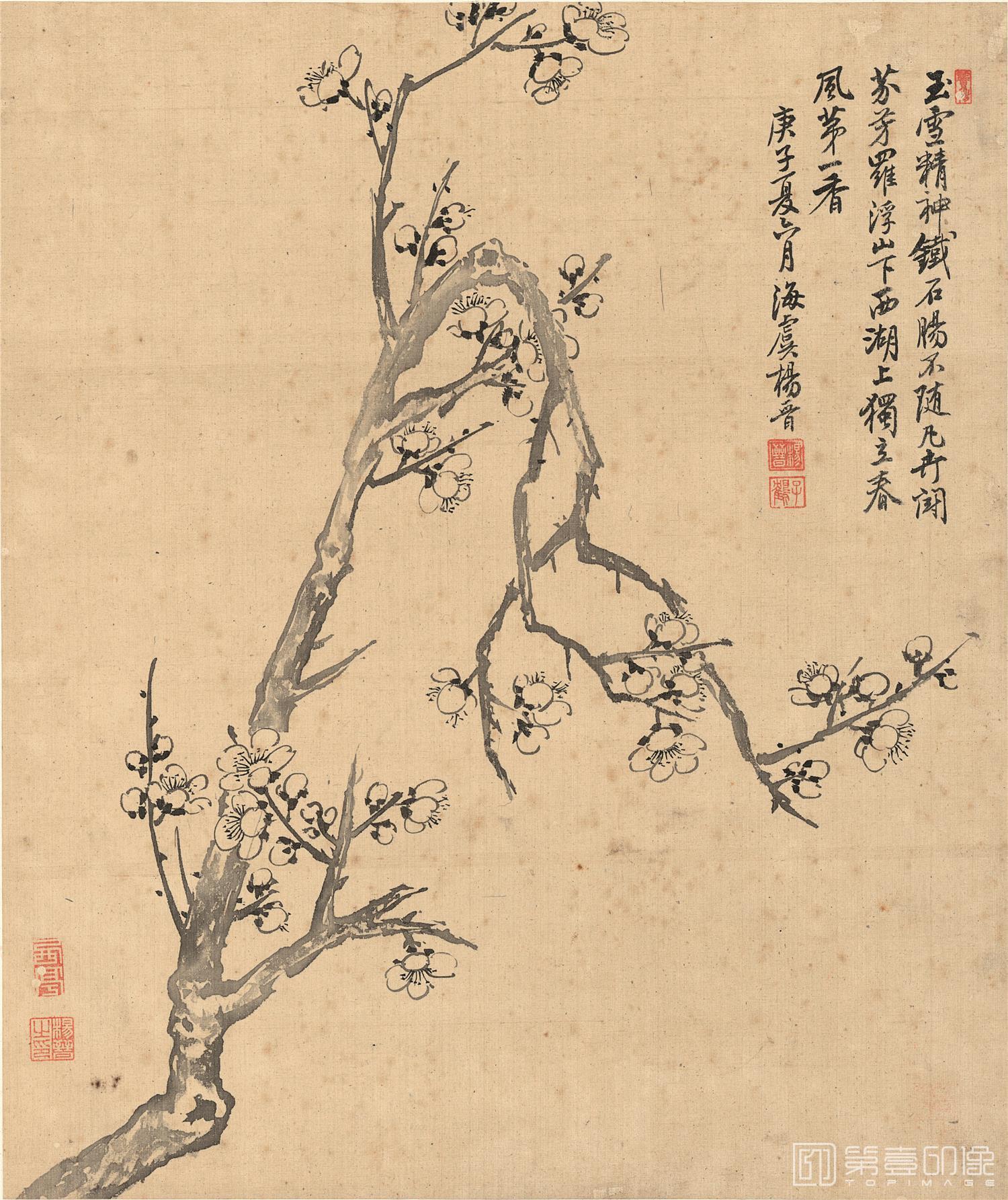 国画-花鸟十二开-册页-004
