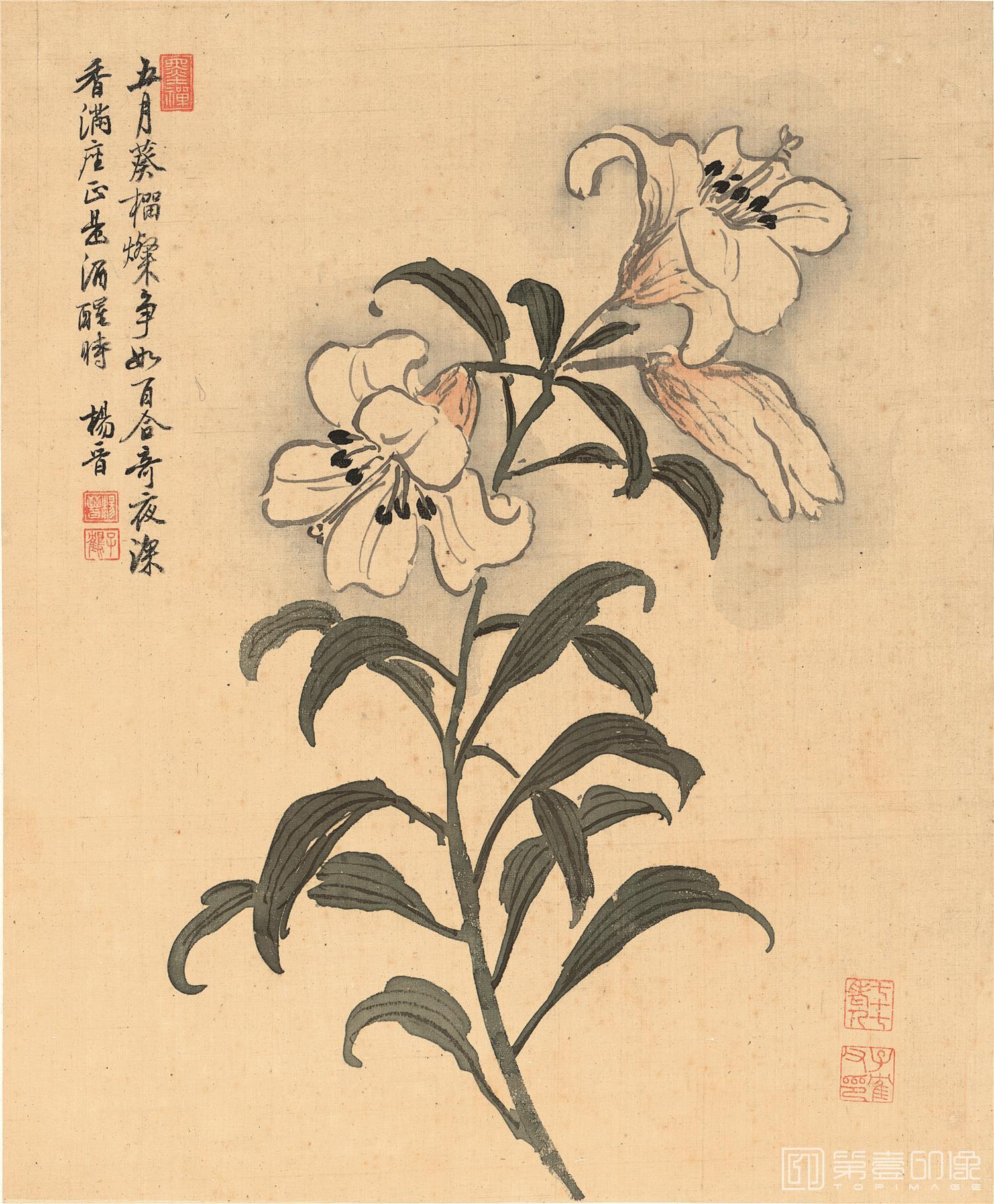 国画-花鸟十二开-册页-009