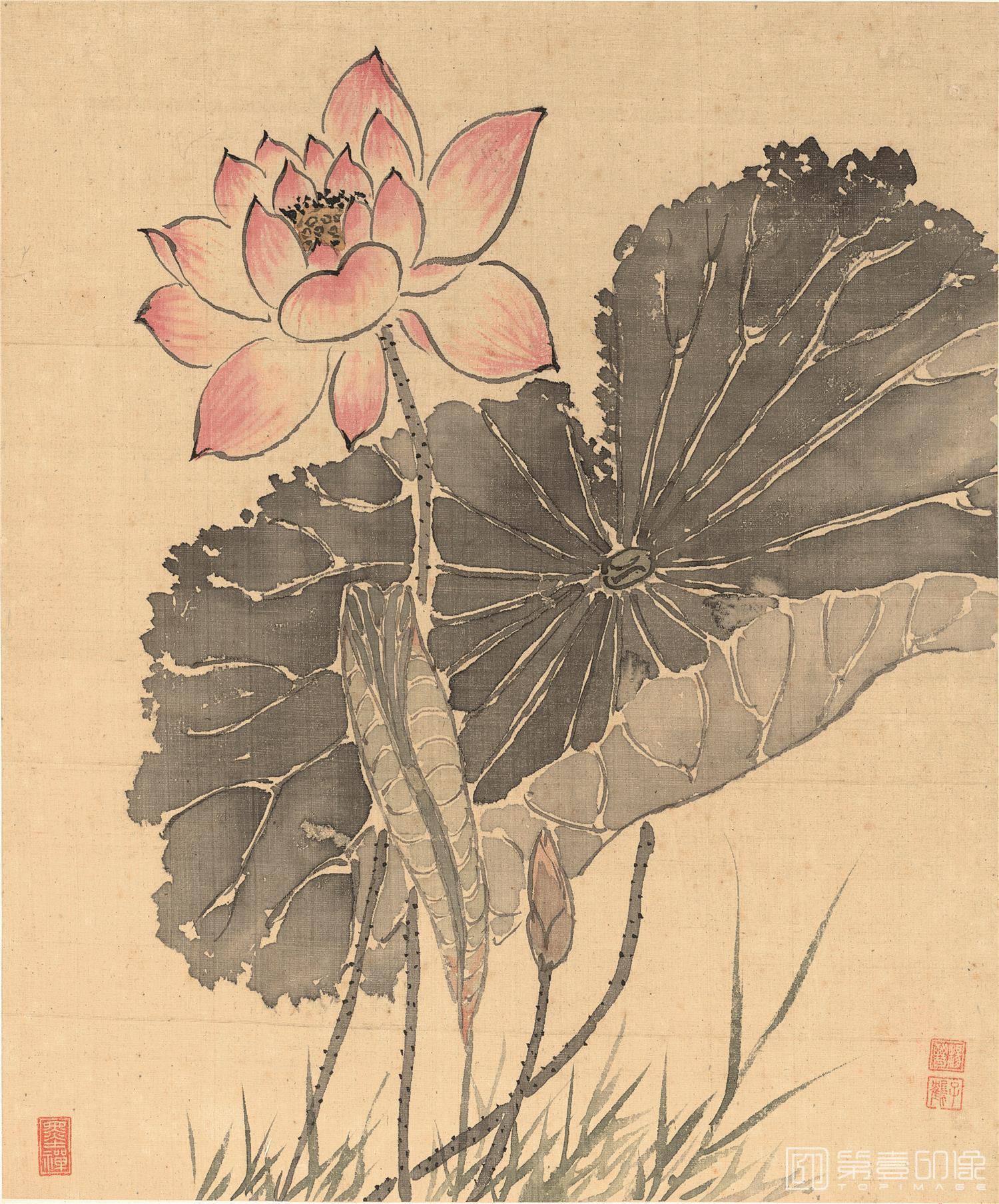国画-花鸟十二开-册页-010