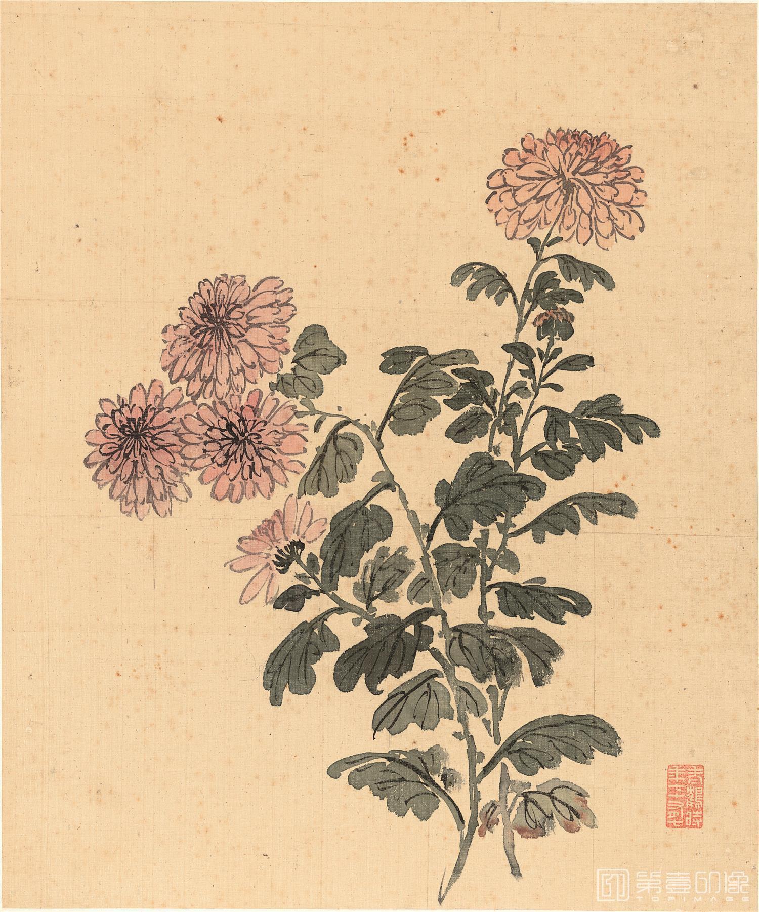 国画-花鸟十二开-册页-012