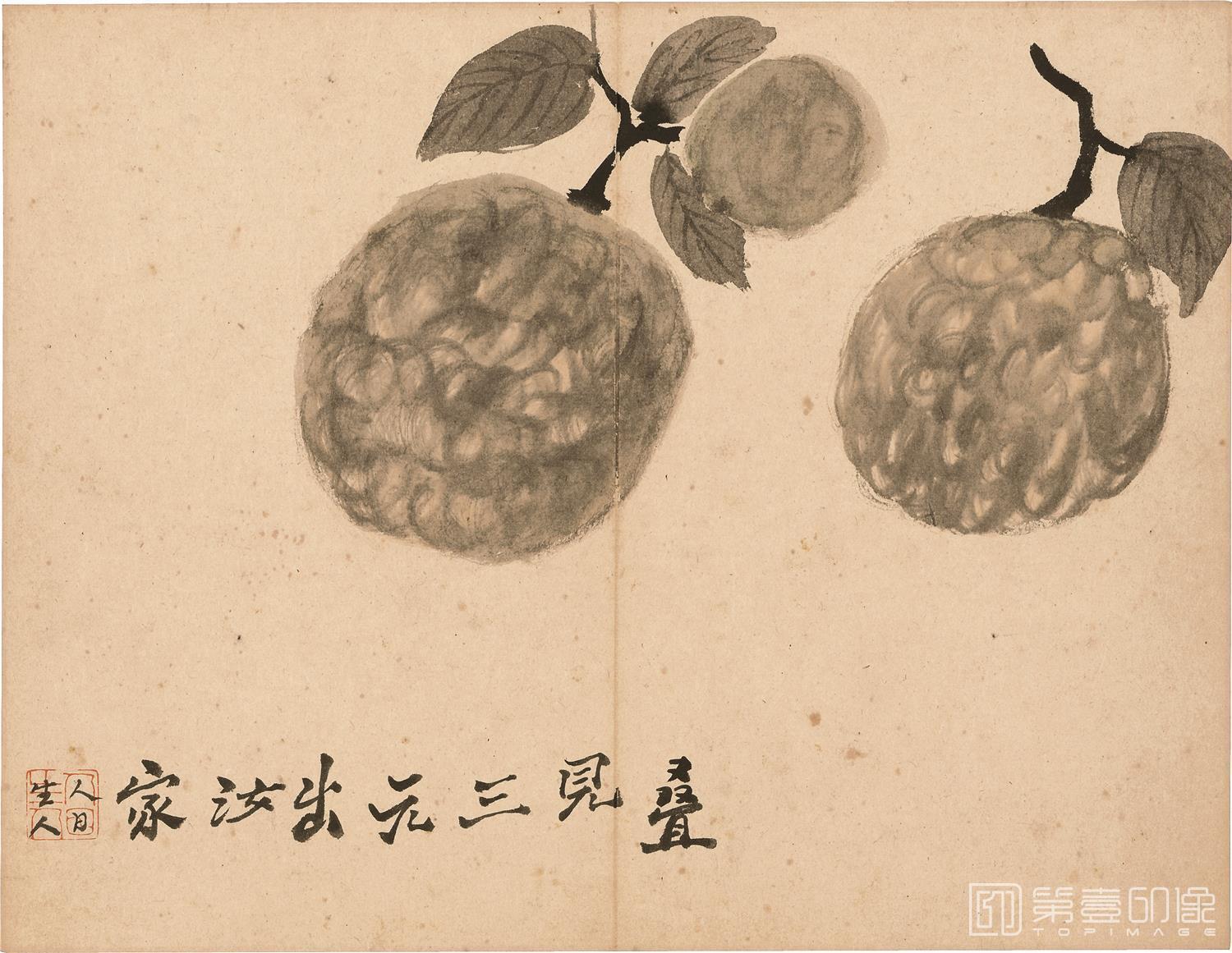 国画-花果图册-005
