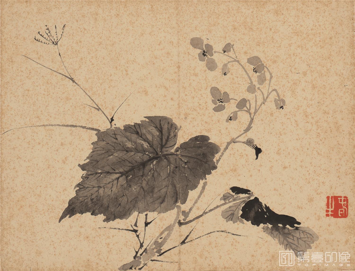 国画-花卉图-002-23x30