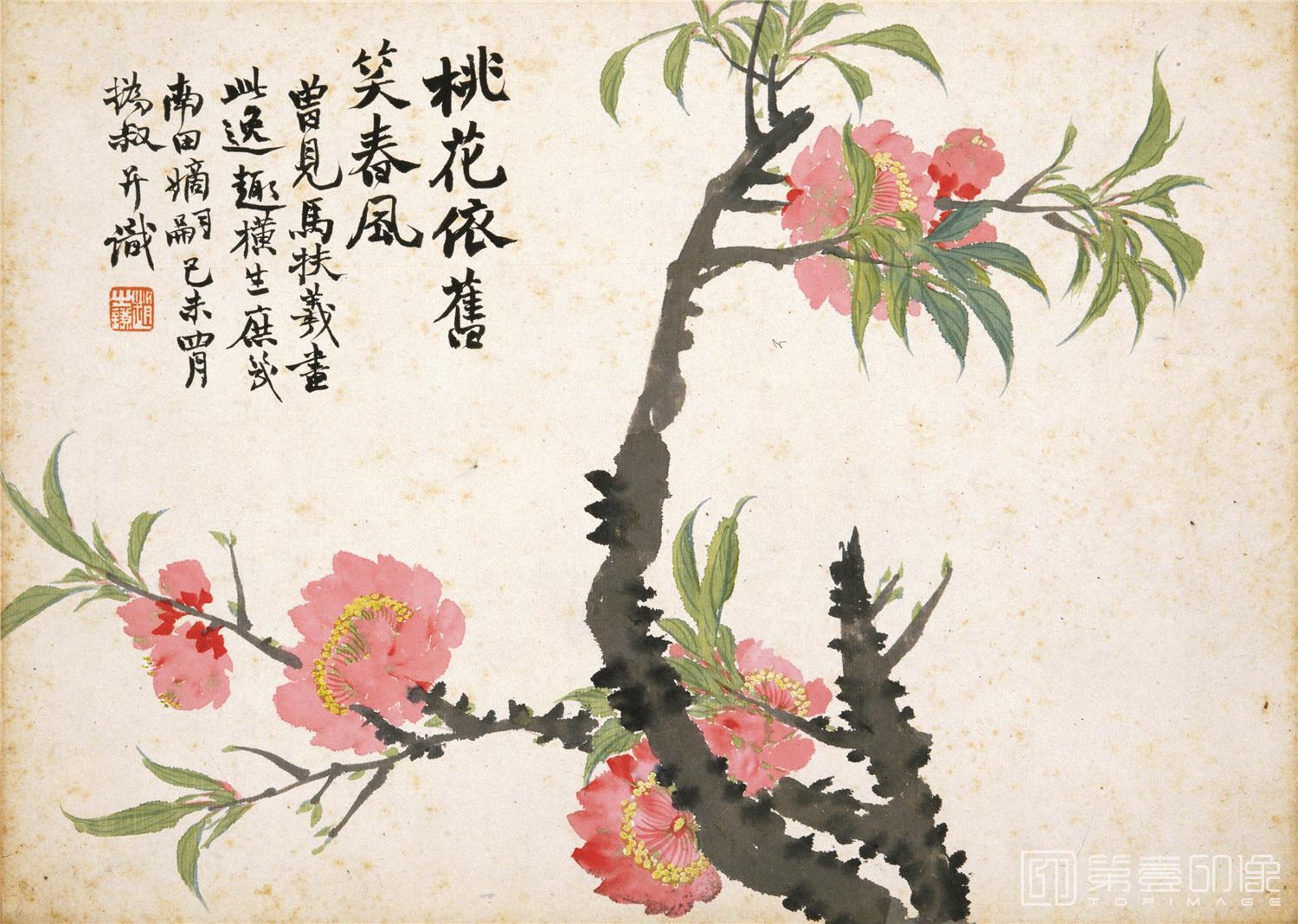 国画-花卉图册十开-009