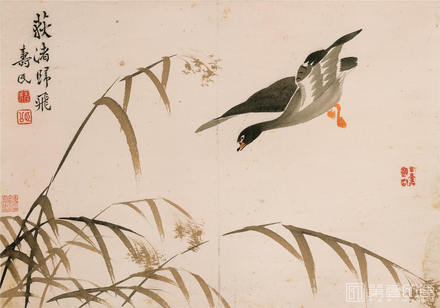 国画-杂画十开-007-34x23.9cm