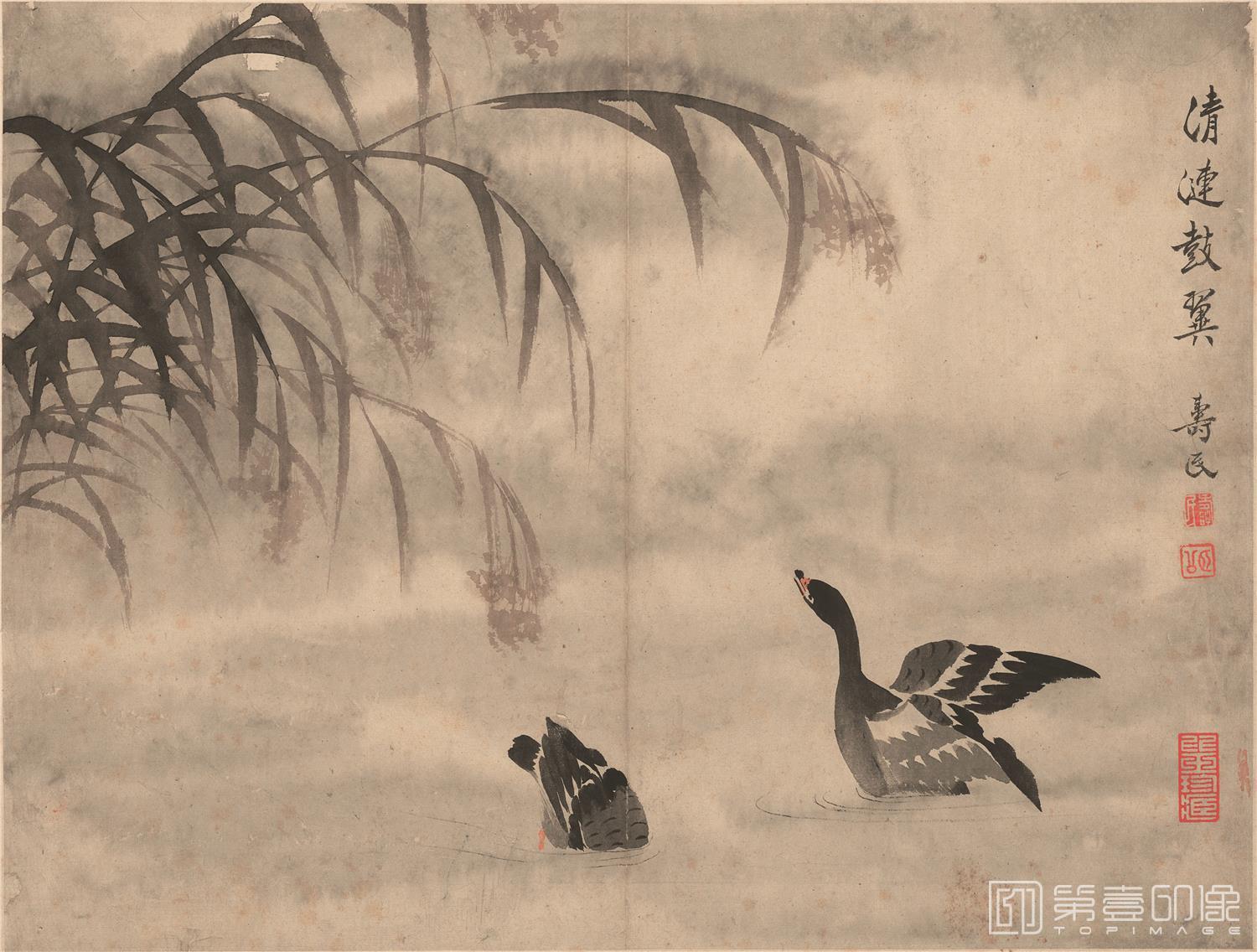 国画-芦雁图十开-001