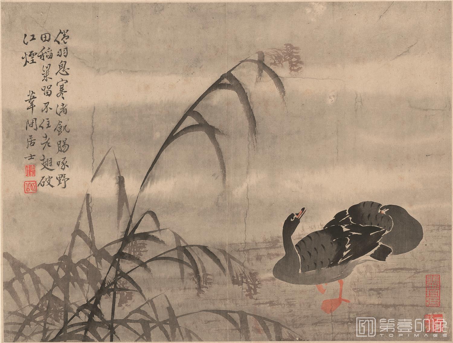 国画-芦雁图十开-005