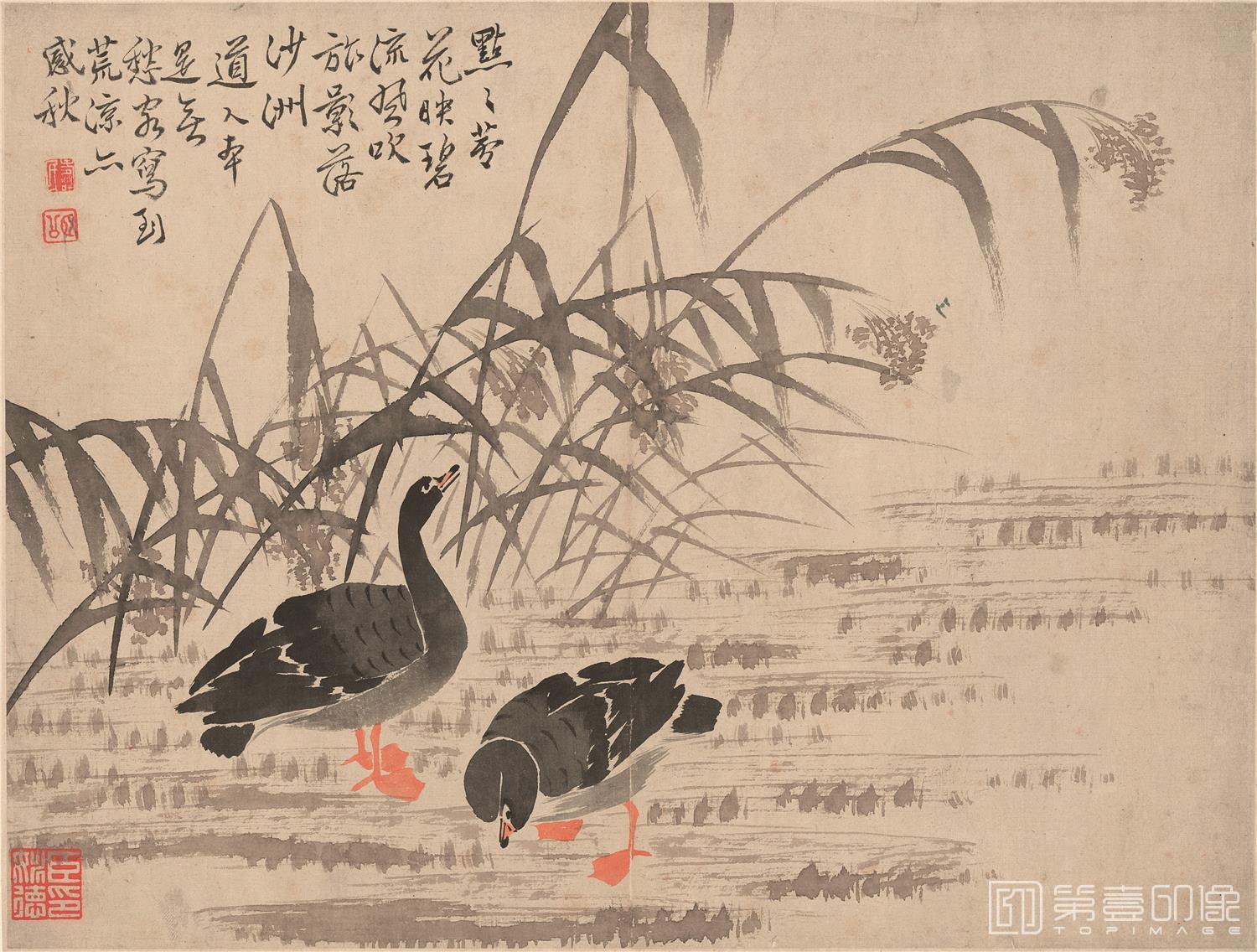 国画-芦雁图十开-009