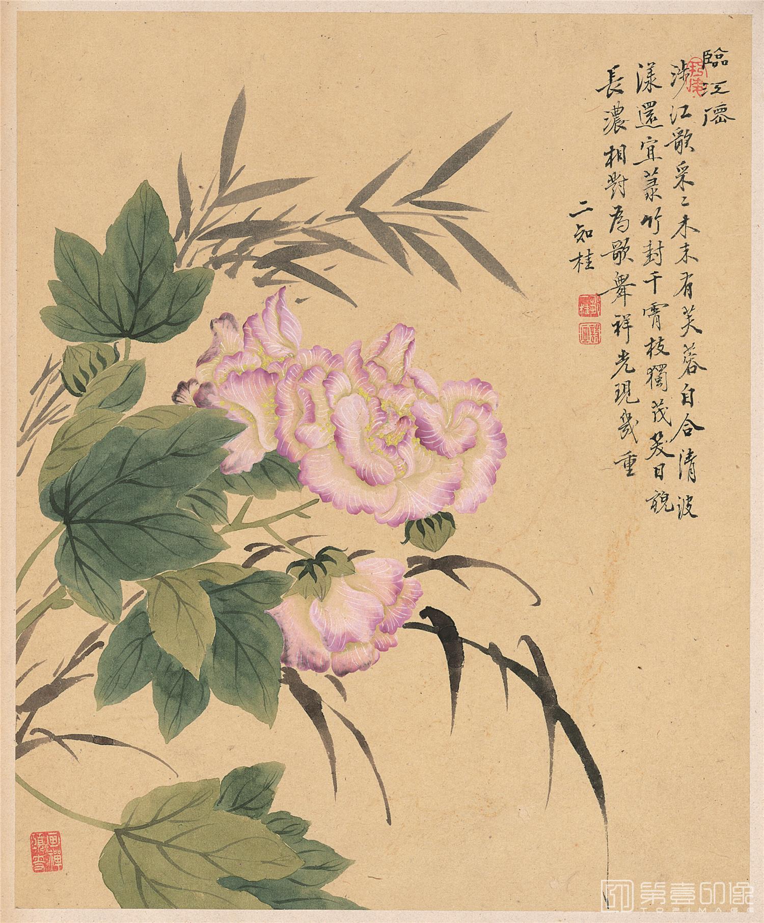 国画-花卉八开-006