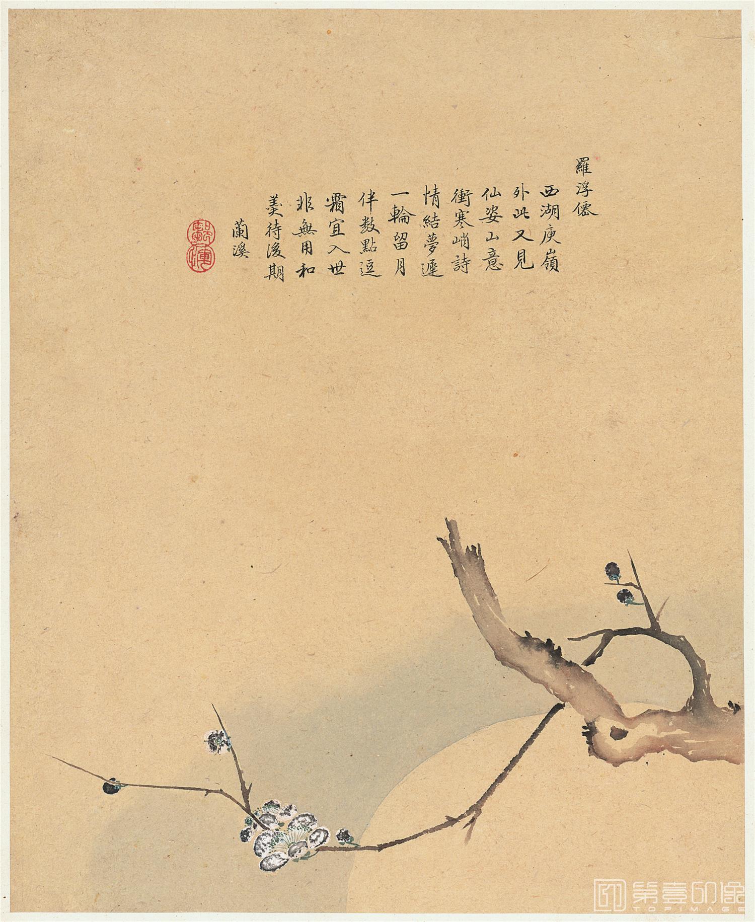 国画-花卉八开-007