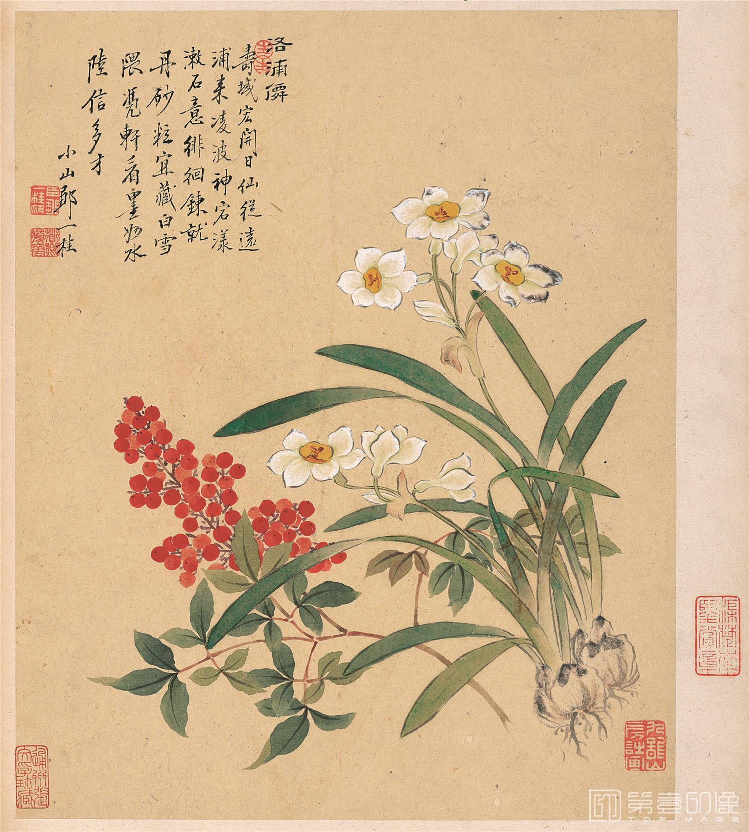国画-花卉八开-008
