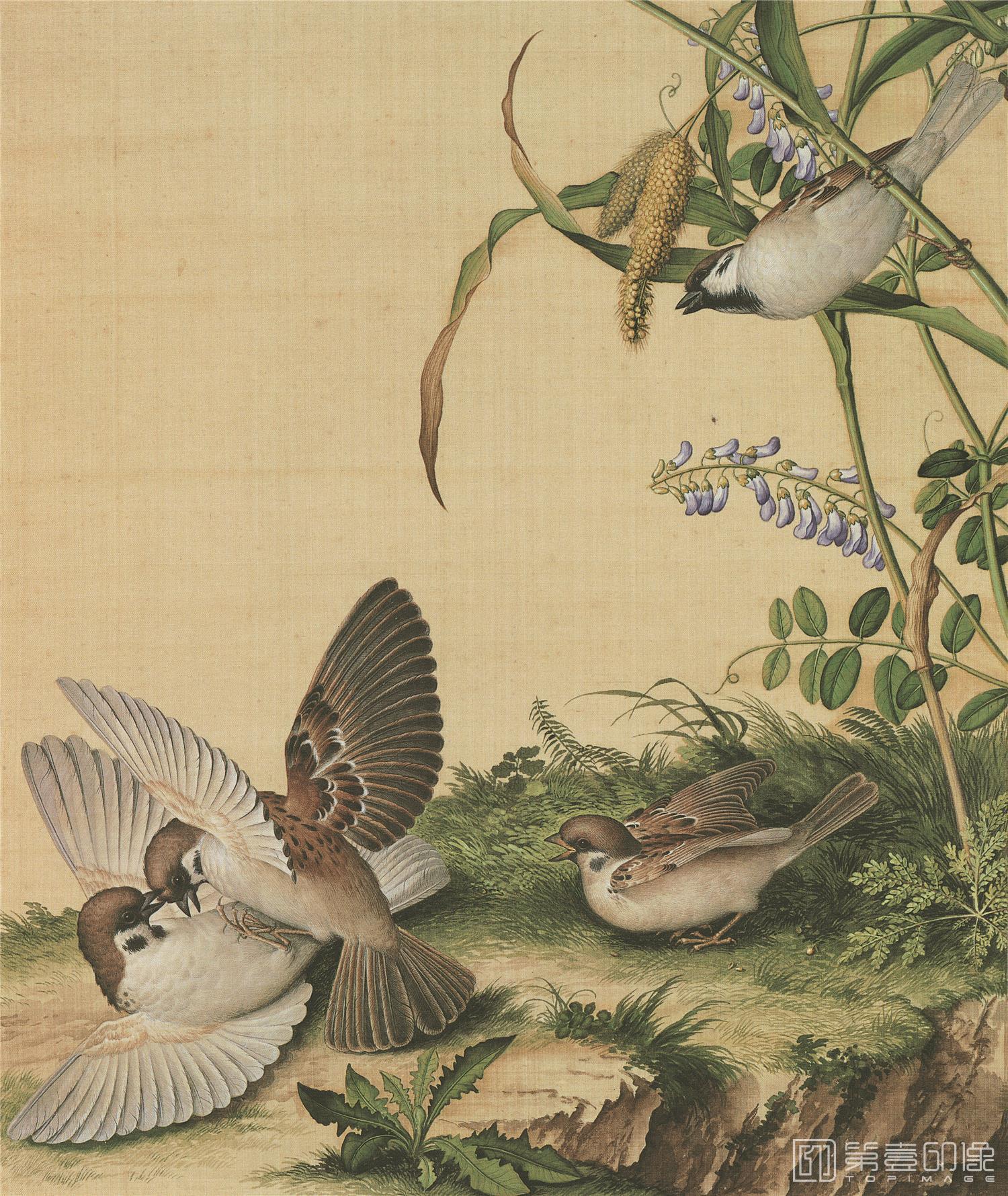 国画-仙萼长春册-绢本-005-39x47cm
