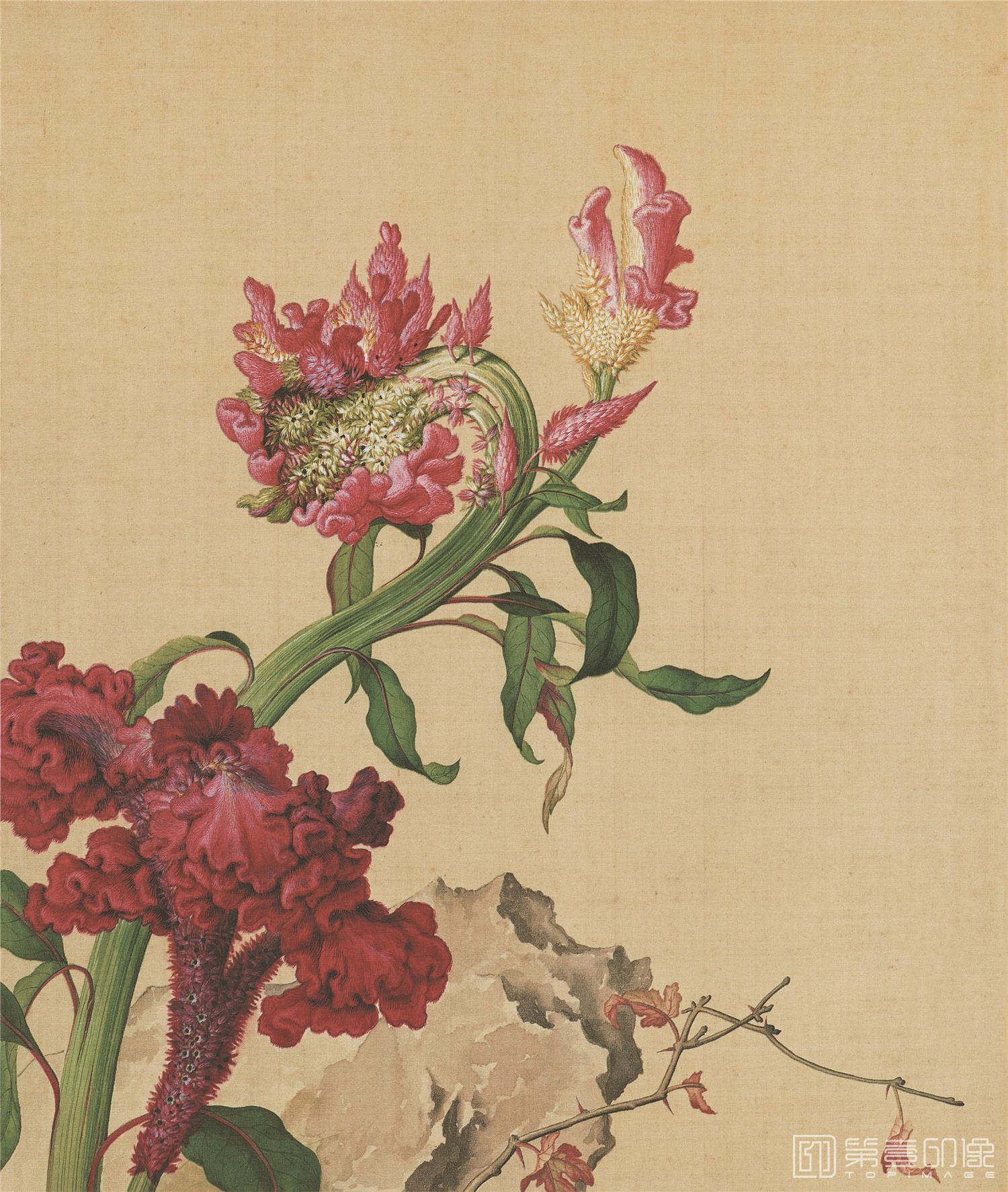 国画-仙萼长春册-绢本-010-39x47cm