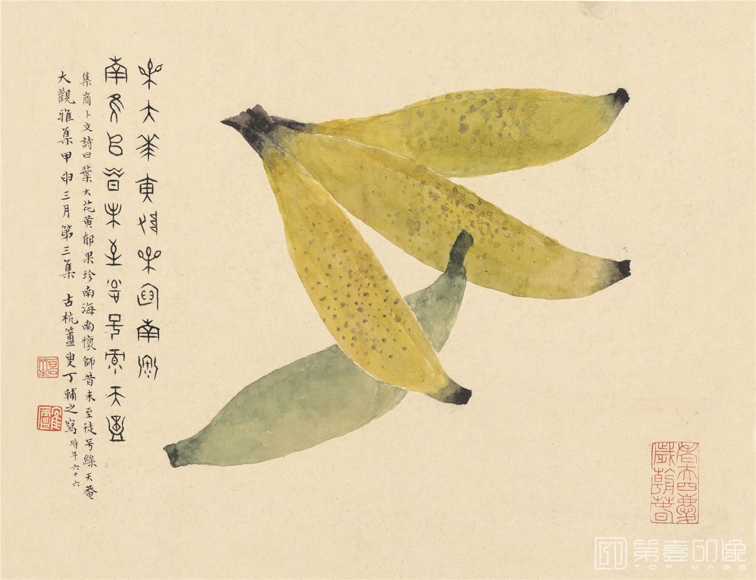 国画-蔬果册-纸本-002-25x22cm