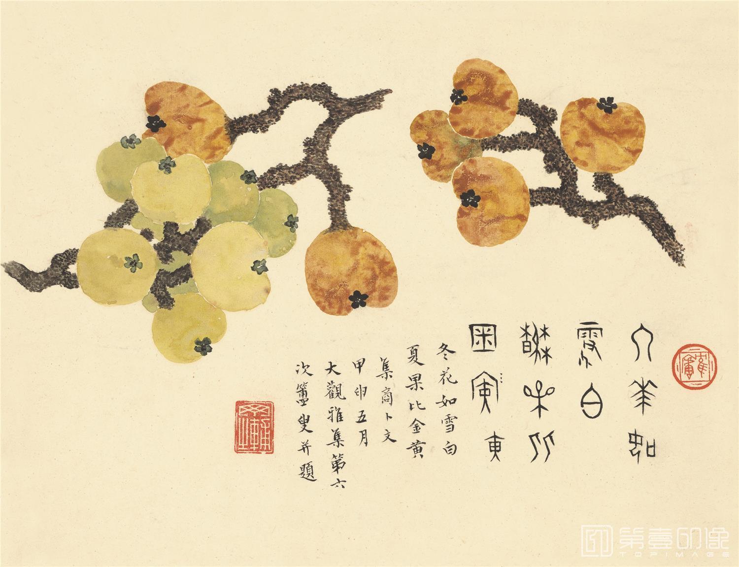 国画-蔬果册-纸本-009-25x22cm