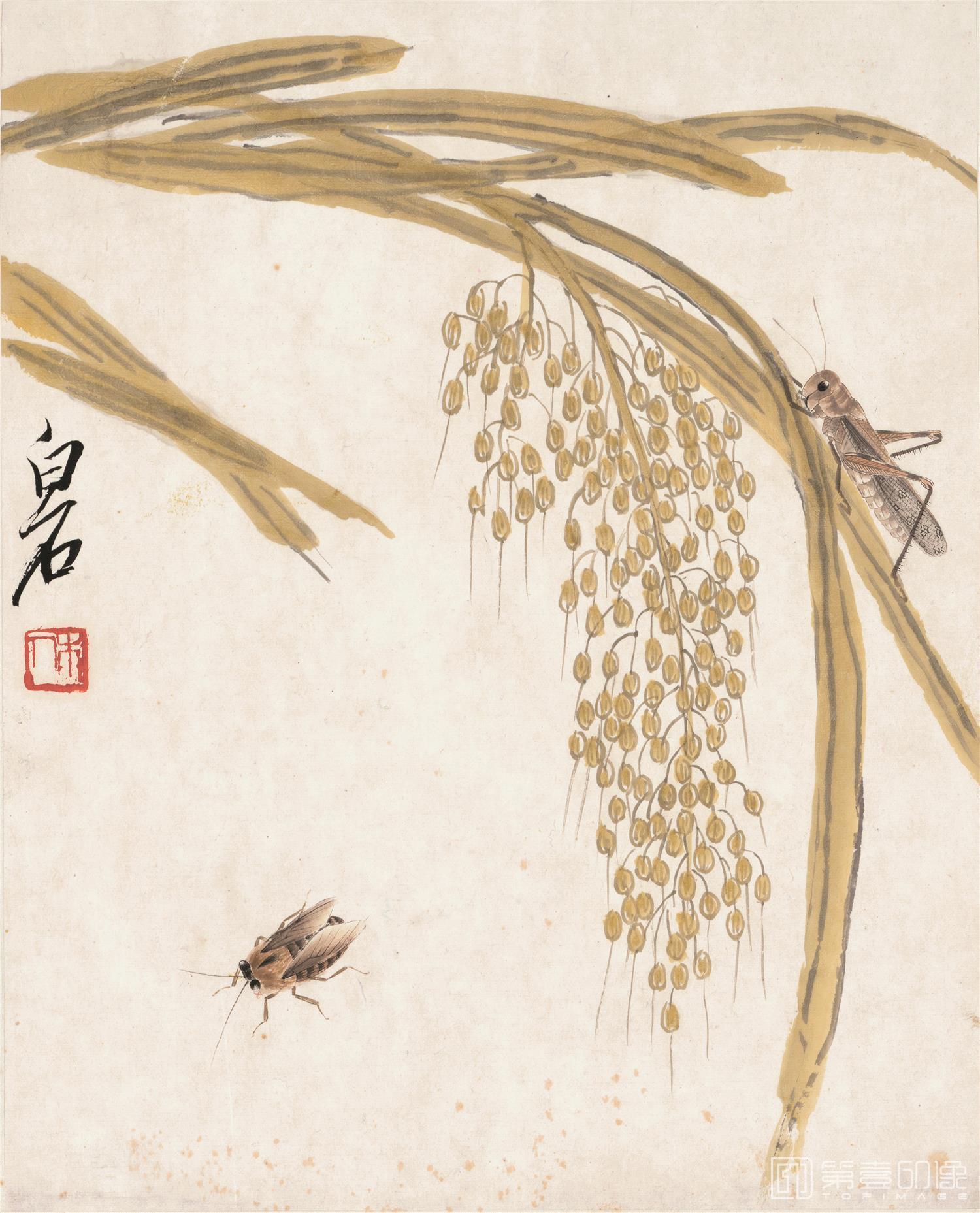 国画-可惜无声-纸本-002-23.7x29.4cm