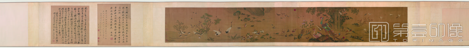 国画-百鸟朝凤图全卷绢本-34.3 x 236.9