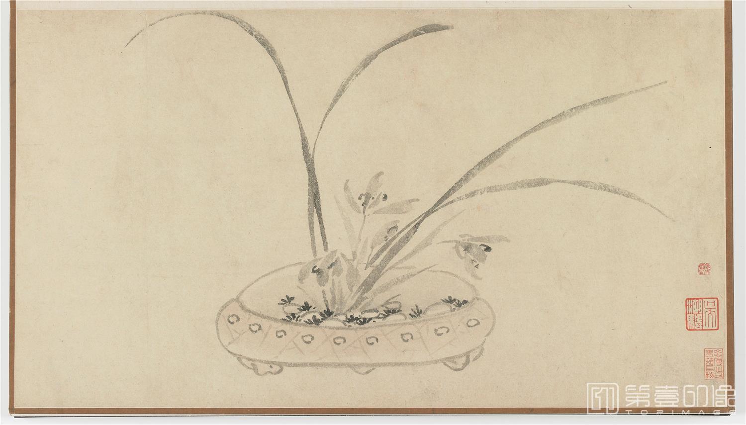 国画-盆花册页 (金瘦仙藏本)纸本-001-53.2x45.7