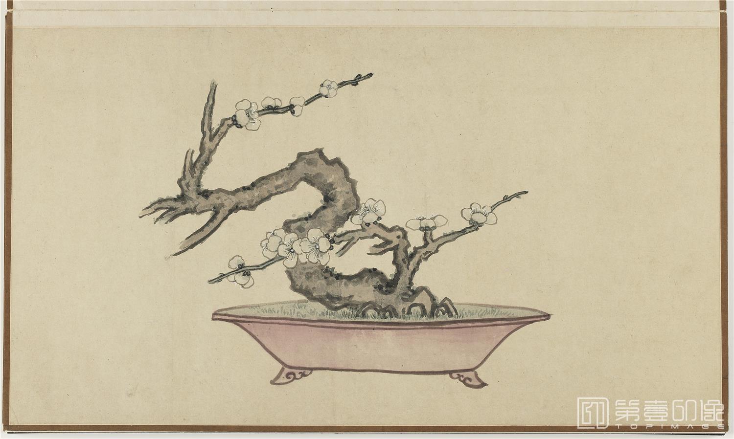 国画-盆花册页 (金瘦仙藏本)纸本-003-53.2x45.7