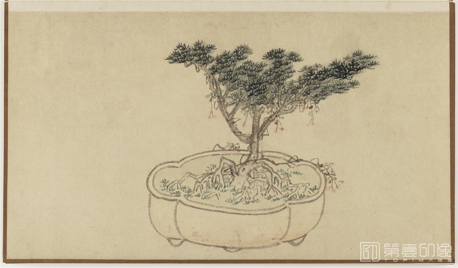 国画-盆花册页 (金瘦仙藏本)纸本-005-53.2x45.7