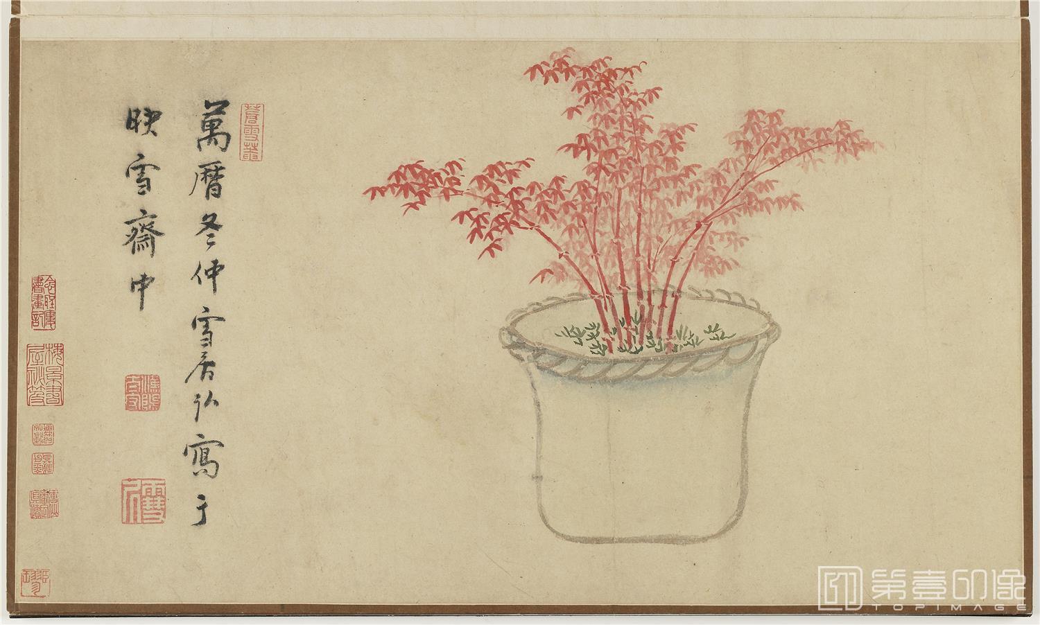 国画-盆花册页 (金瘦仙藏本)纸本-008-53.2x45.7