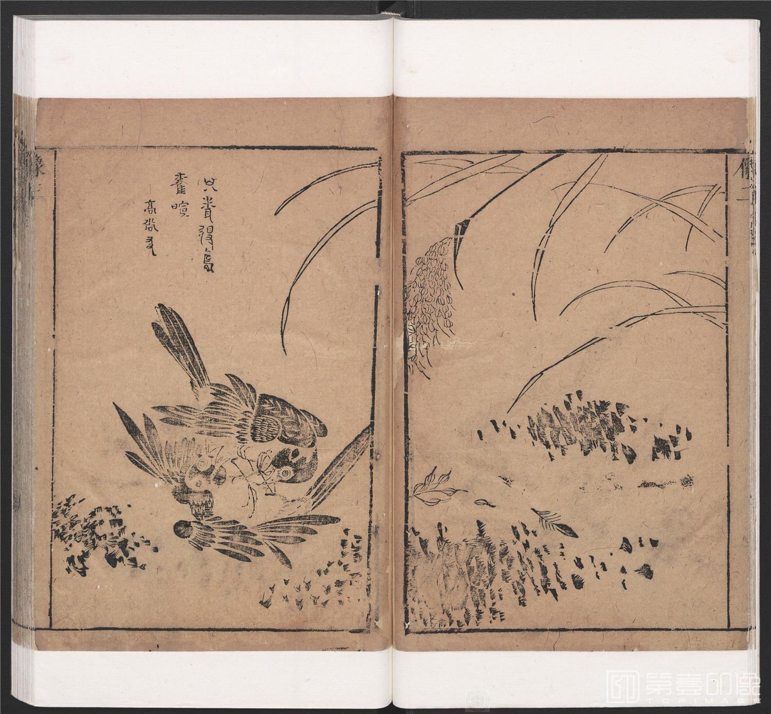 国画-西厢记真本图册29帧纸本-026-38x41