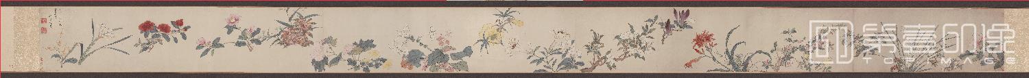 国画-二十四番花信图卷纸本-20.3x924cm