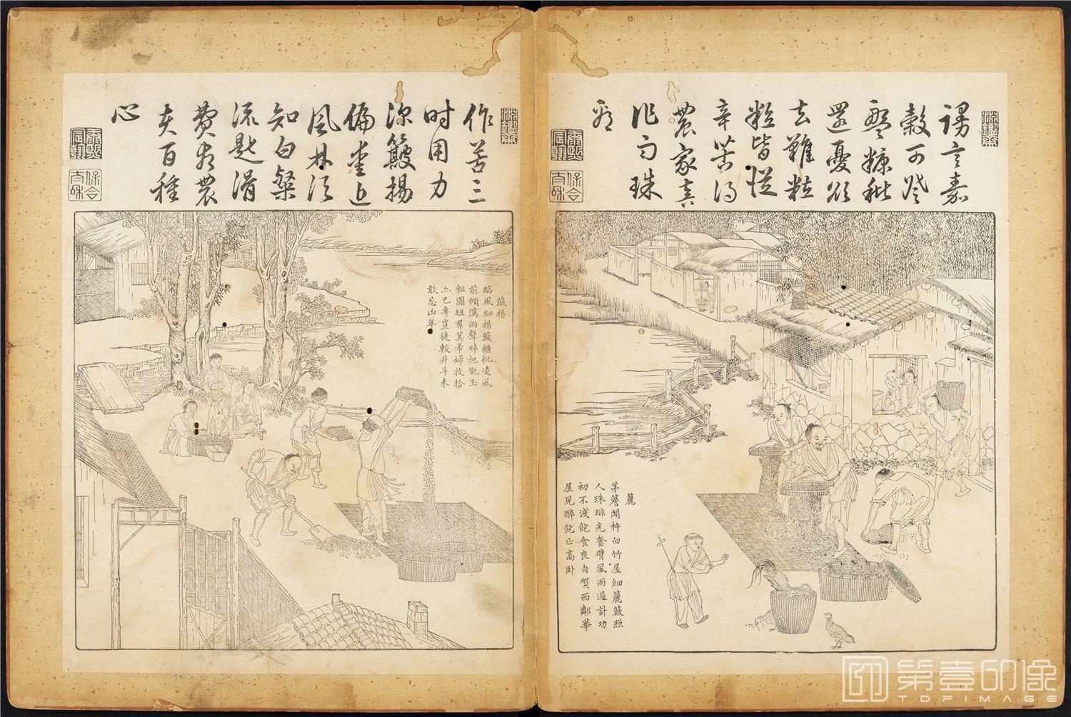 插画-御制耕织图 (哈佛大学藏本)-42x63cm-05
