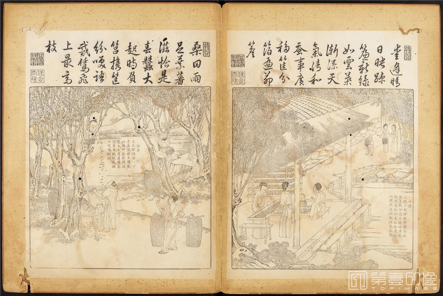 插画-御制耕织图 (哈佛大学藏本)-42x63cm-10