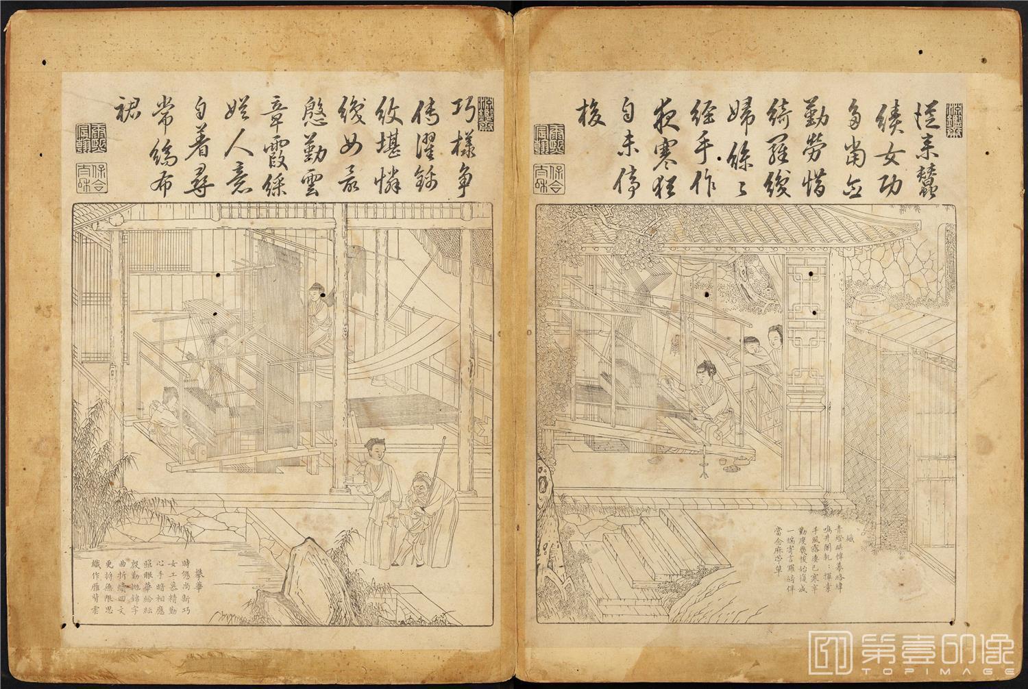 插画-御制耕织图 (哈佛大学藏本)-42x63cm-18