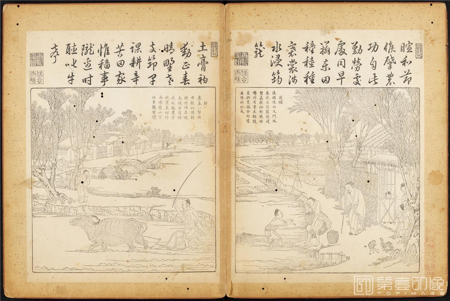 插画-御制耕织图 (哈佛大学藏本)-42x63cm-22
