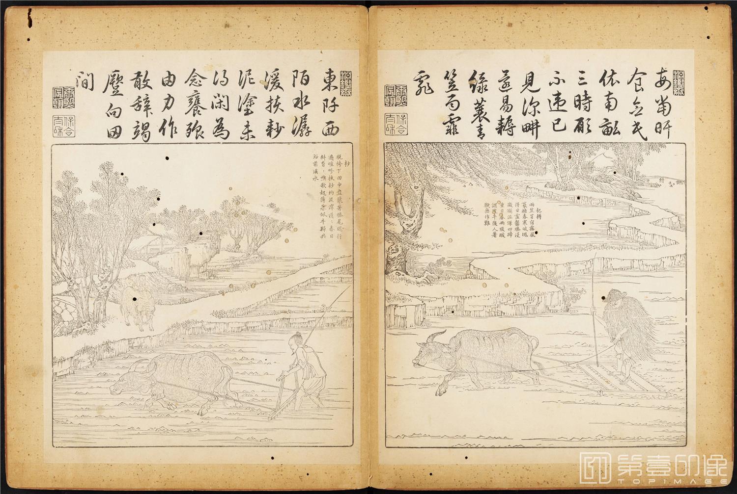 插画-御制耕织图 (哈佛大学藏本)-42x63cm-23