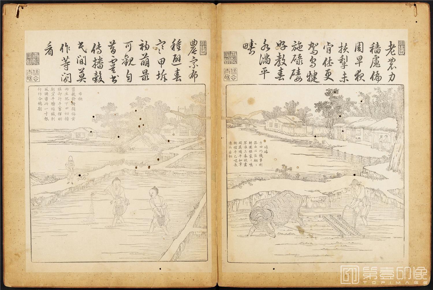 插画-御制耕织图 (哈佛大学藏本)-42x63cm-24