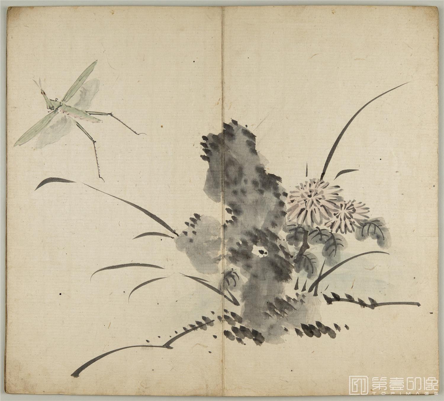 国画-九幅草虫图册纸本-004-30.5 x 34cm