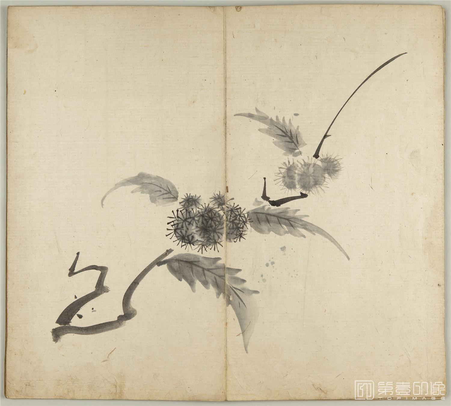 国画-九幅草虫图册纸本-005-30.5 x 34cm