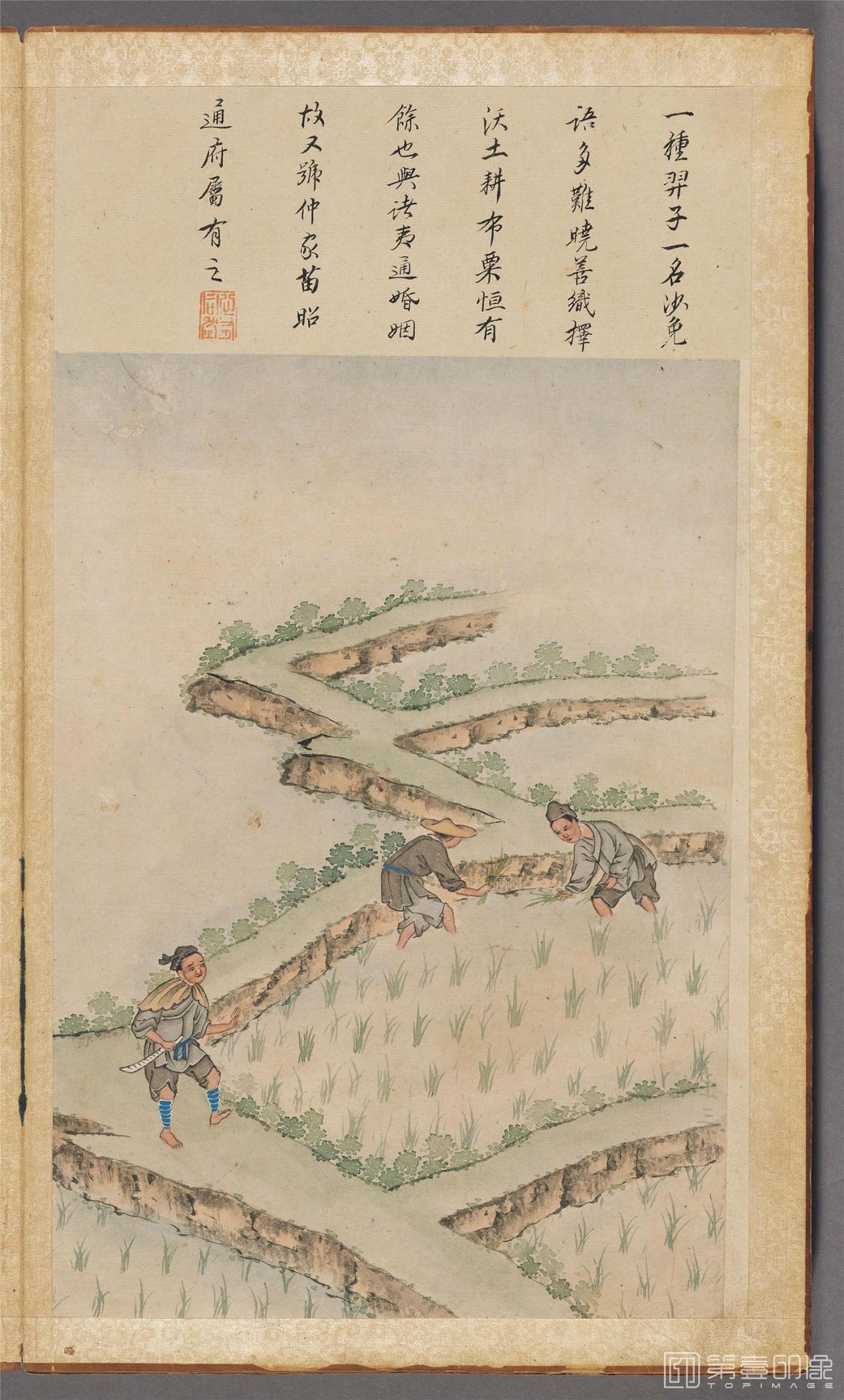 插画-伯麟彩绘图册纸本-013-30x18