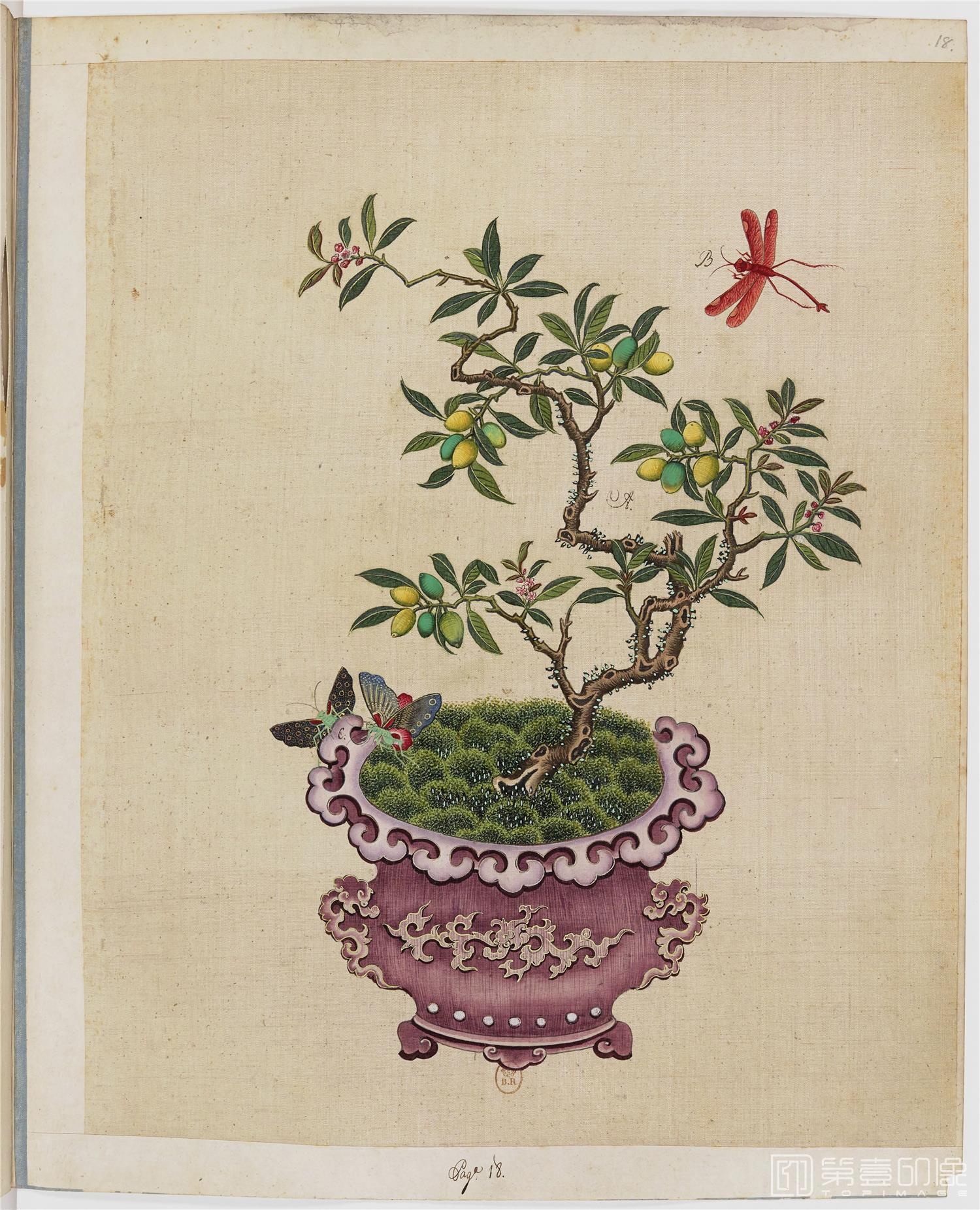 国画-盆景花鸟草虫图册绢本-002-40-34x43cm