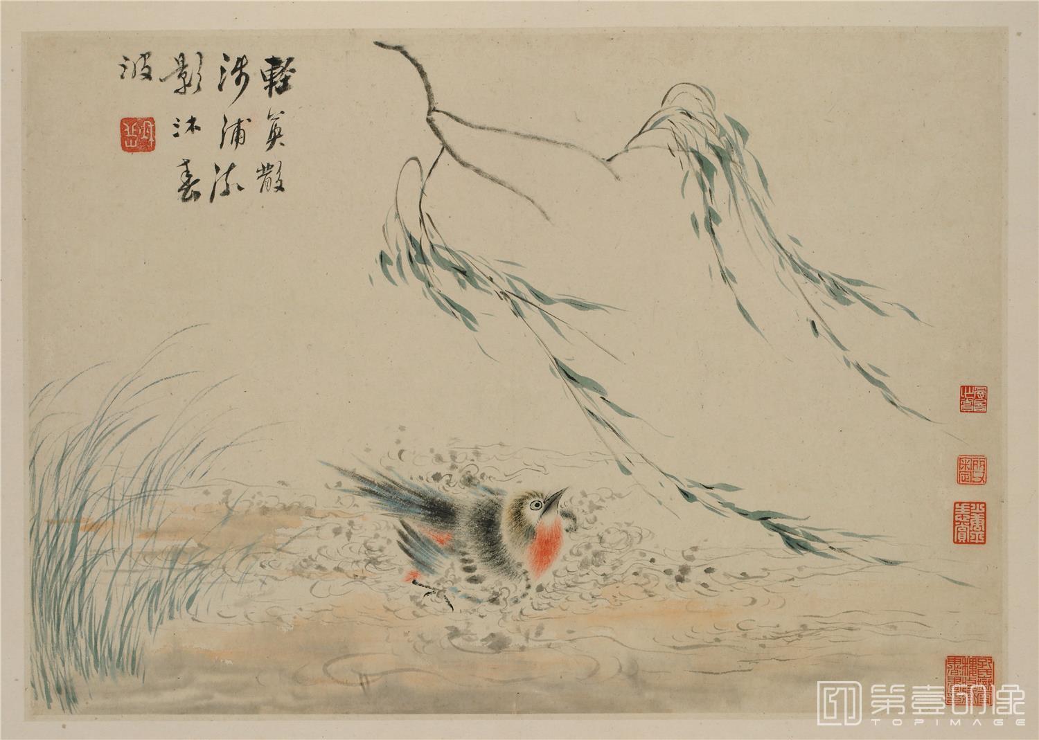 国画-花鸟草虫图册8帧纸本 006-31.2x44.7