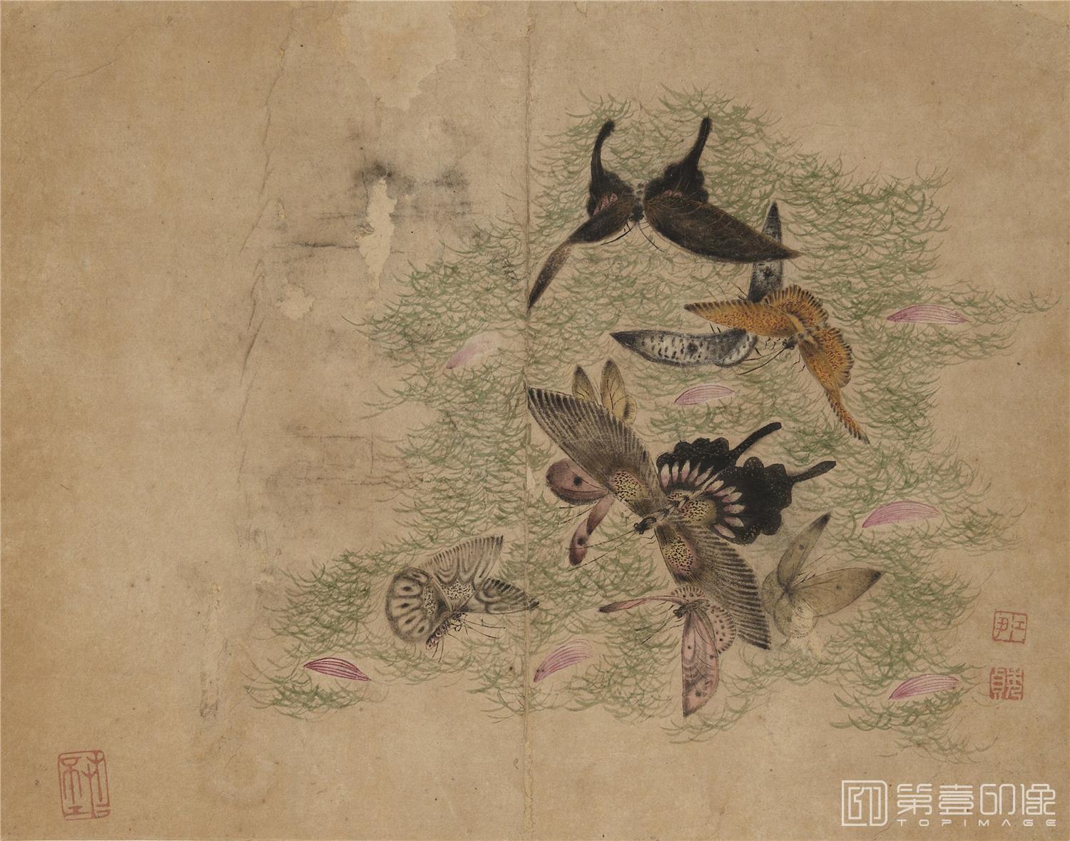 国画-蝴蝶草虫图册纸本-002-24.3 x 31.1cm