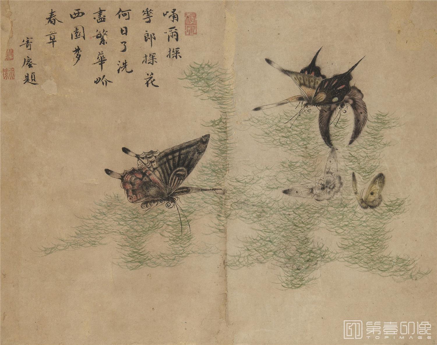 国画-蝴蝶草虫图册纸本-004-24.3 x 31.1cm