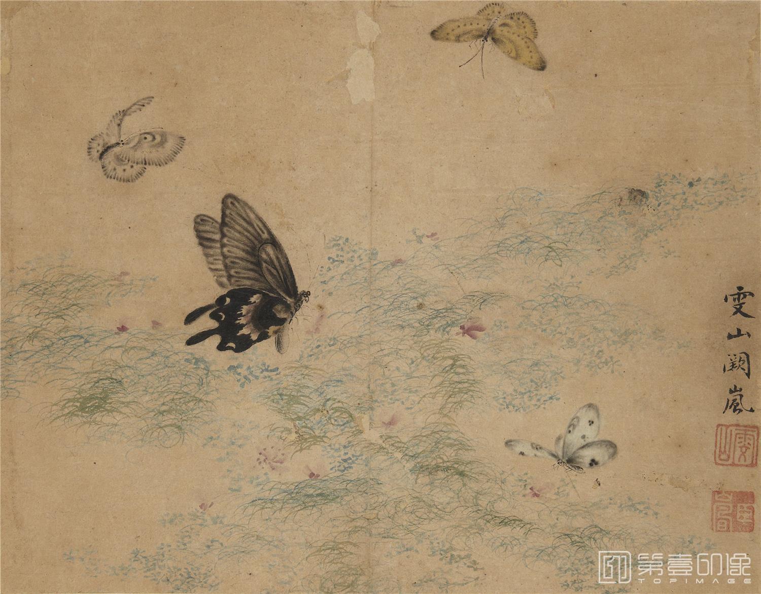 国画-蝴蝶草虫图册纸本-001-24.3 x 31.1cm