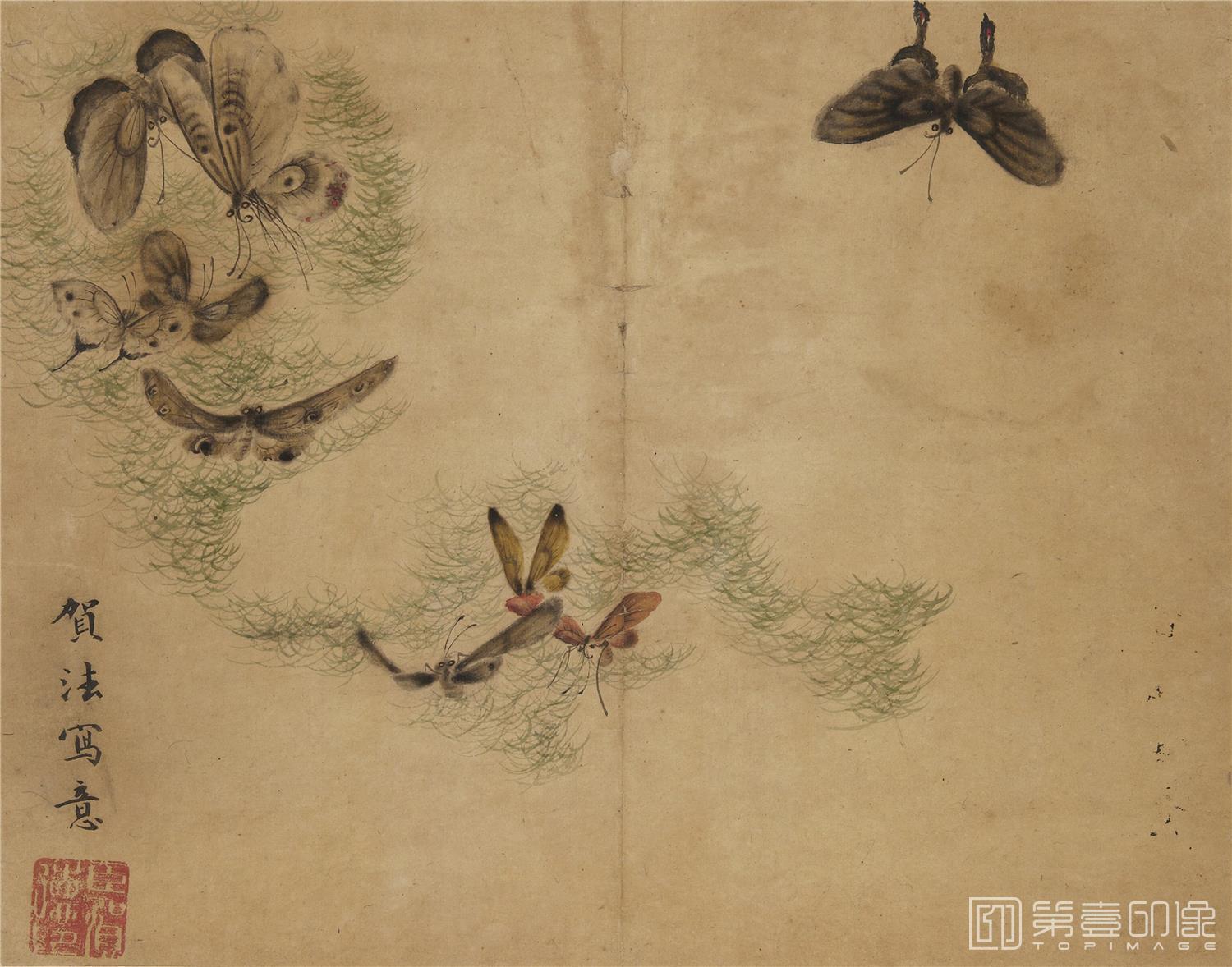 国画-蝴蝶草虫图册纸本-005-24.3 x 31.1cm